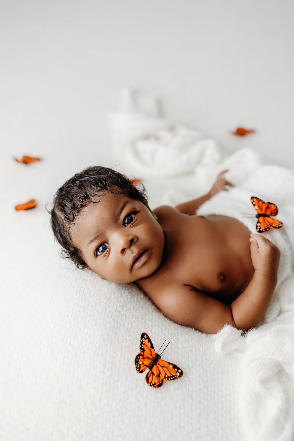 A newborn photography series with orange monarch butterflies on white fabric creating a dreamy artistic composition.