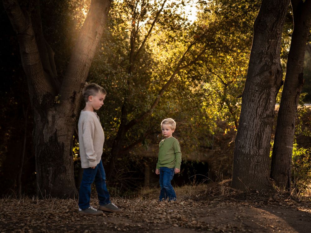 Two children standing among tall trees in a sunlit forest during golden hour.
