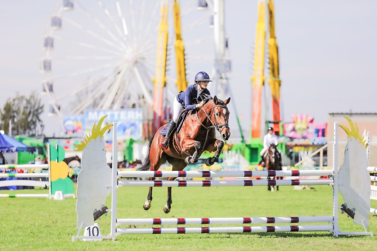 Equestrian photography.