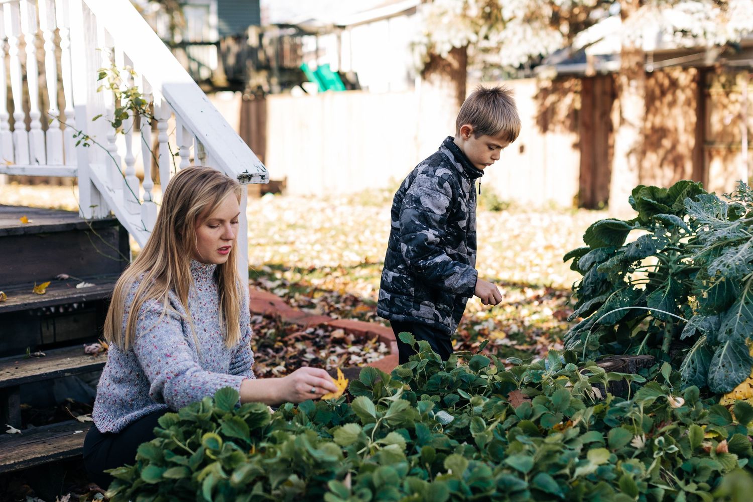 People exploring garden and fallen leaves in backyard during fall season.