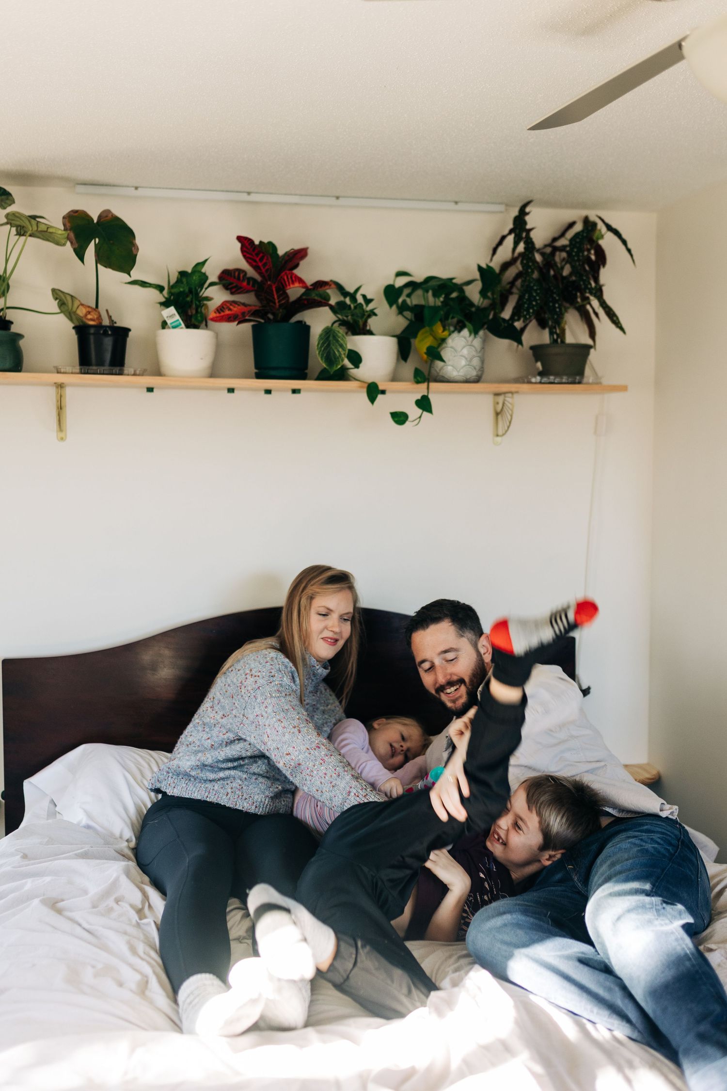 Family playing together on bed beneath shelf of houseplants.