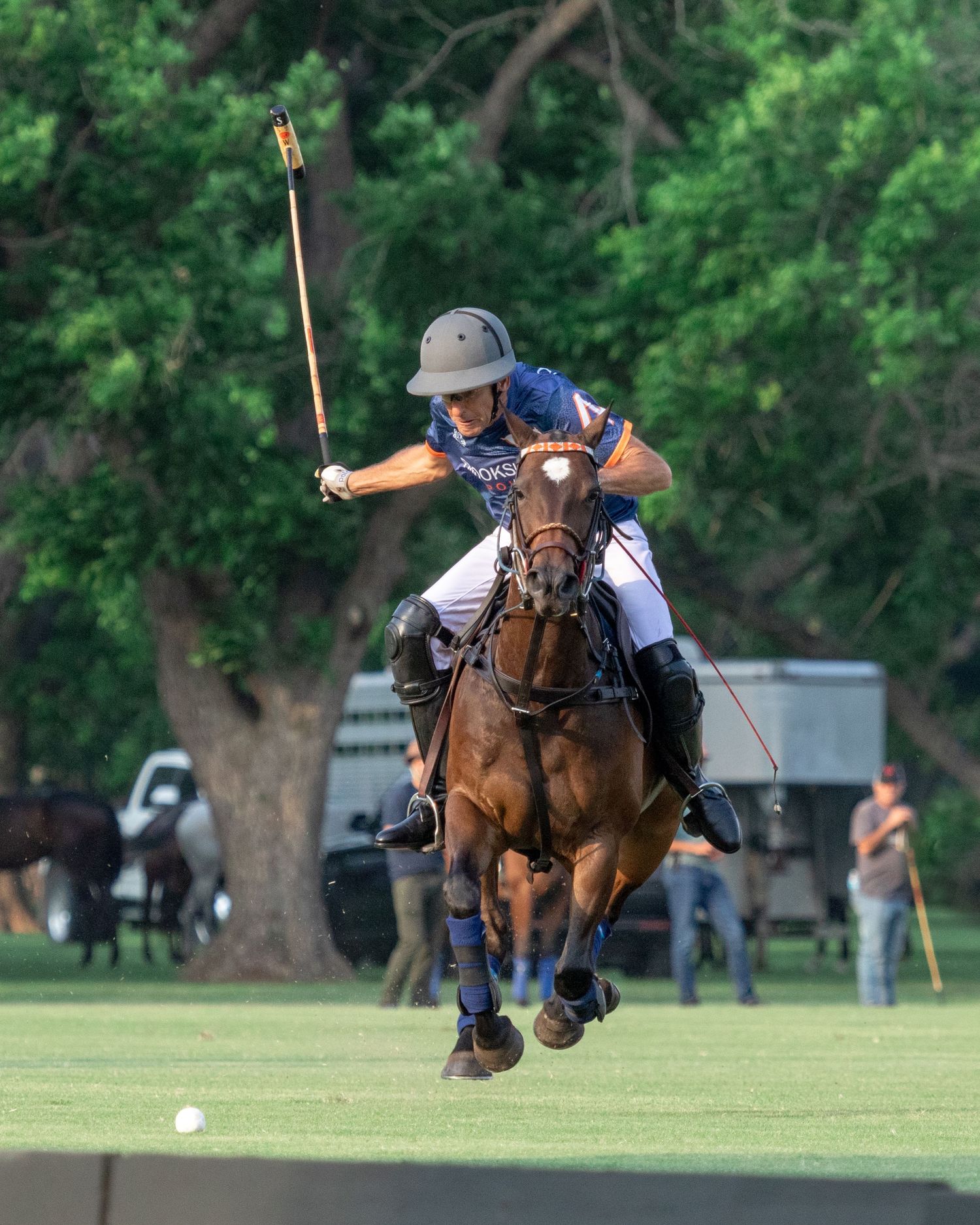 Polo
