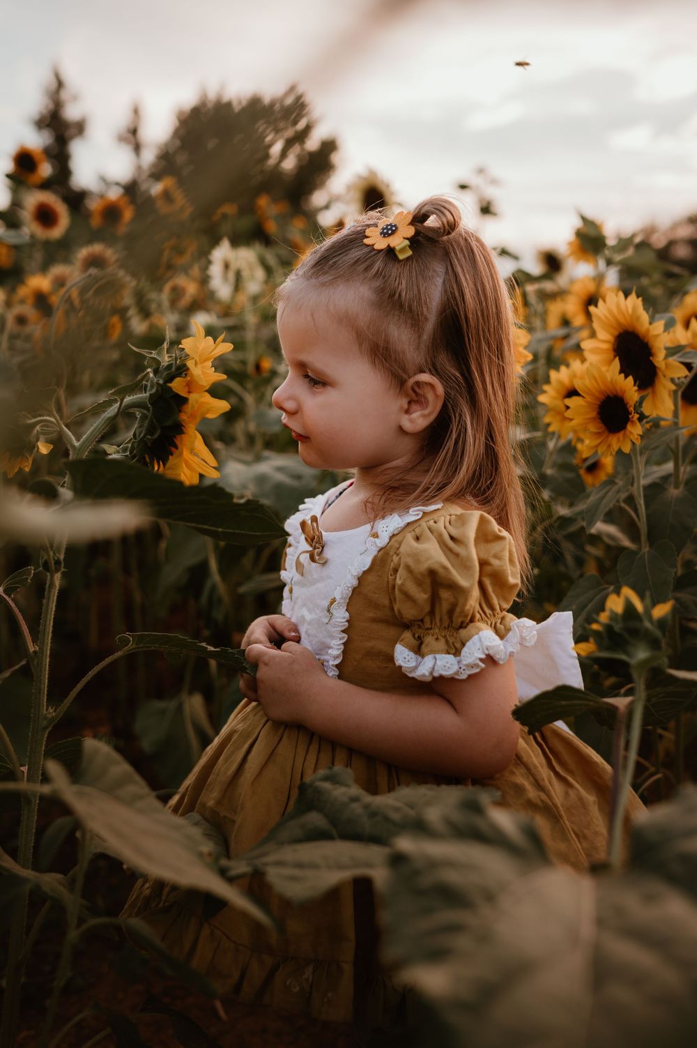 A young child in a mustard dress explores a vibrant sunflower field during golden hour.