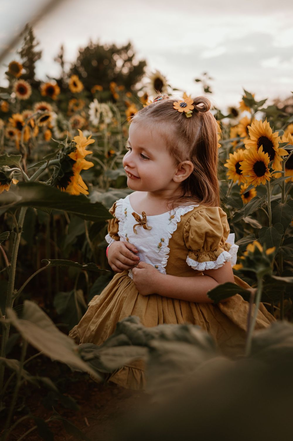 A child in a mustard dress explores a vibrant sunflower field during golden hour.