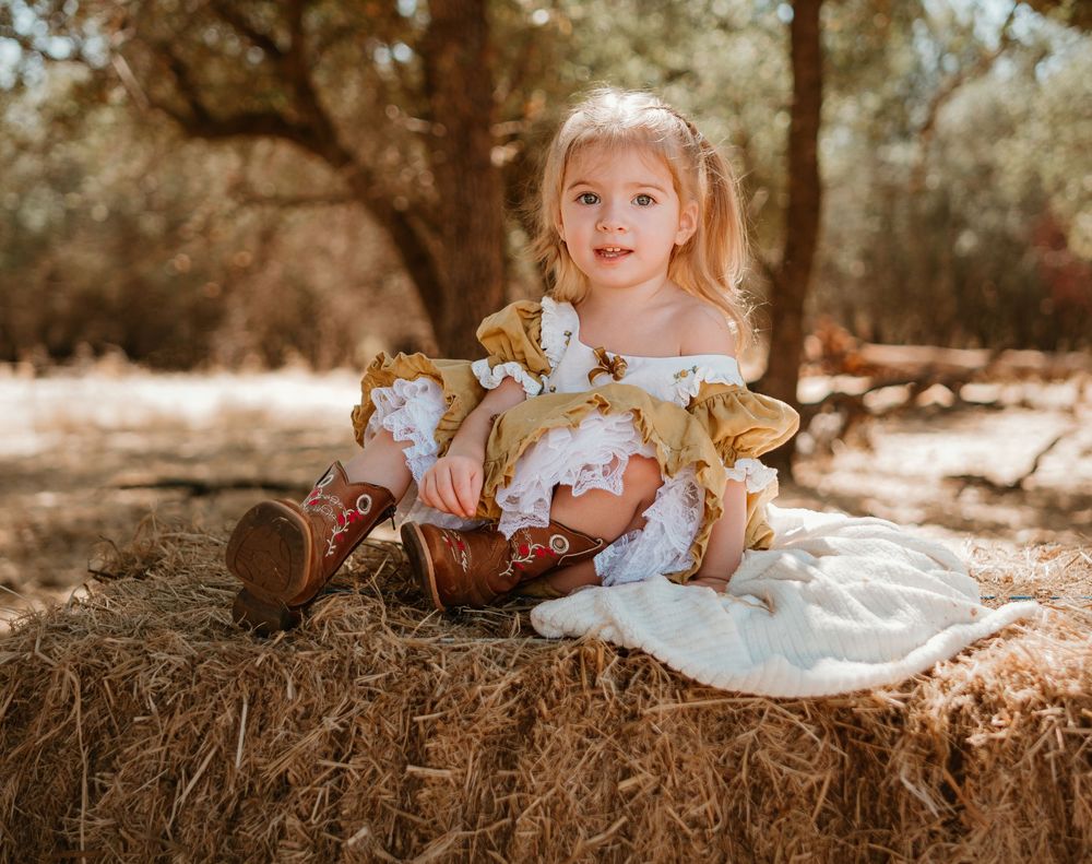 A series of warm-toned photos showing a rustic outdoor setting with logs and natural elements in golden sunlight.