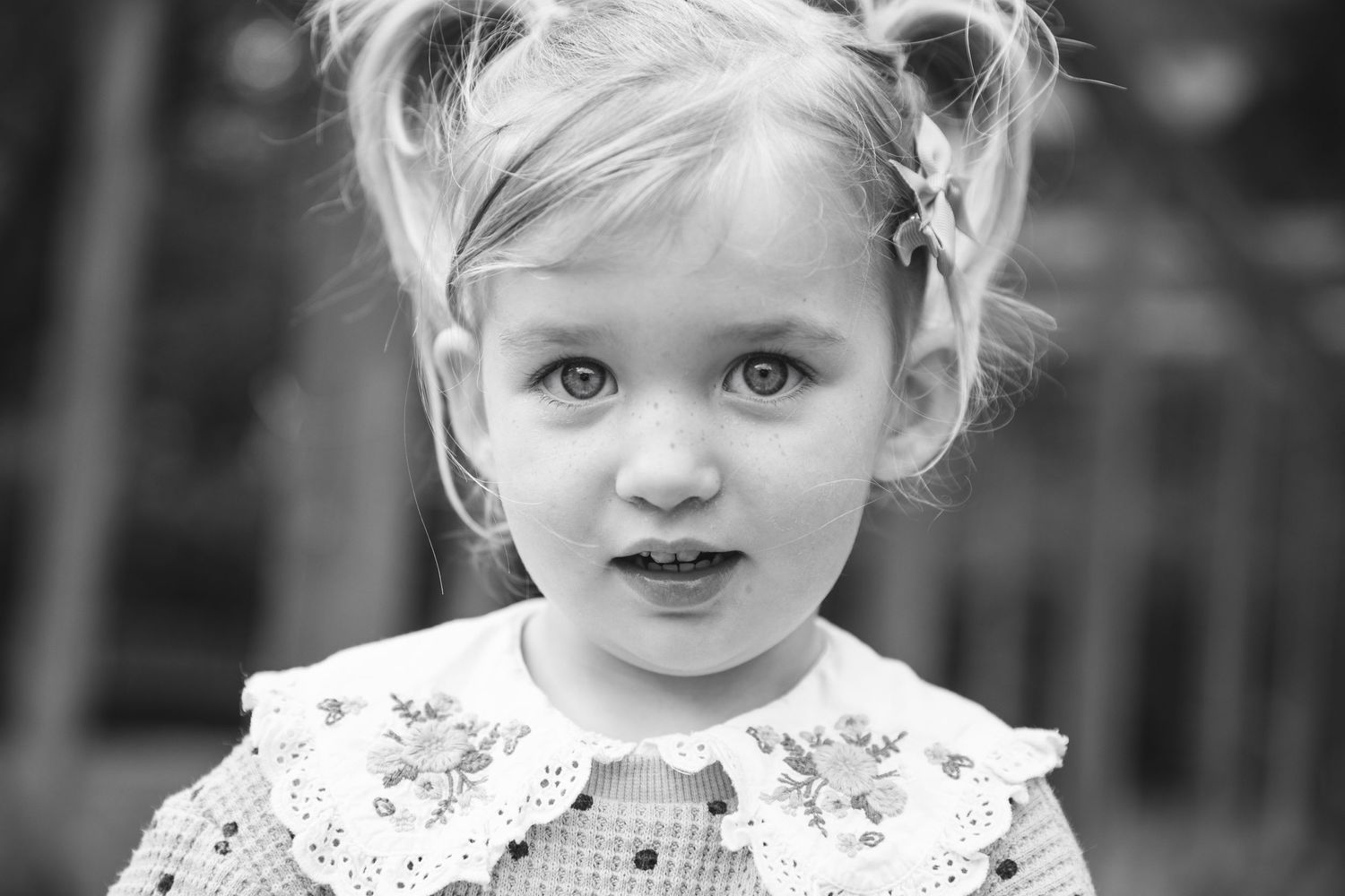 A classic black and white portrait featuring a lace collar and delicate expression.