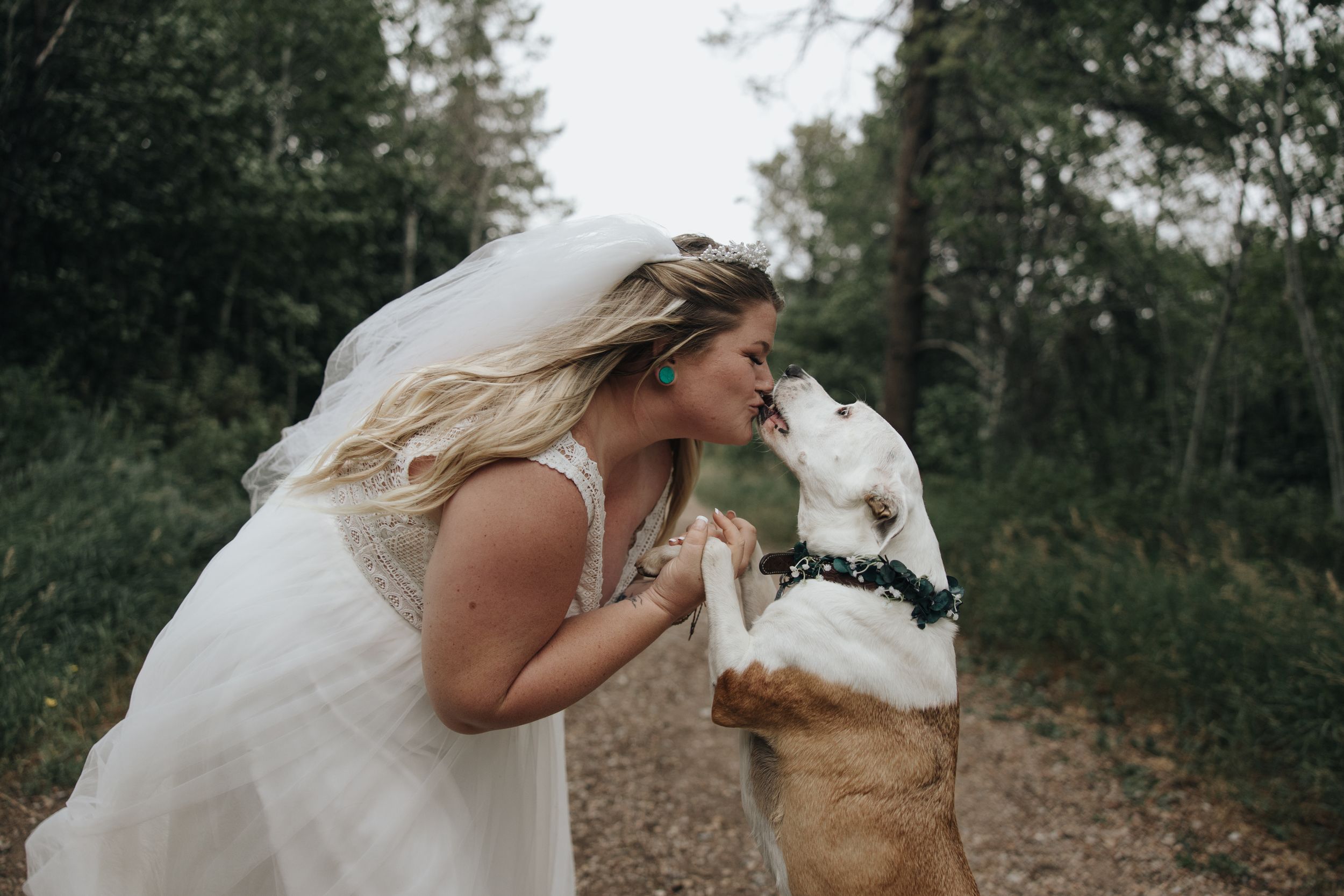 A sweet moment between a bride in white and her dog sharing a kiss in a woodland setting.