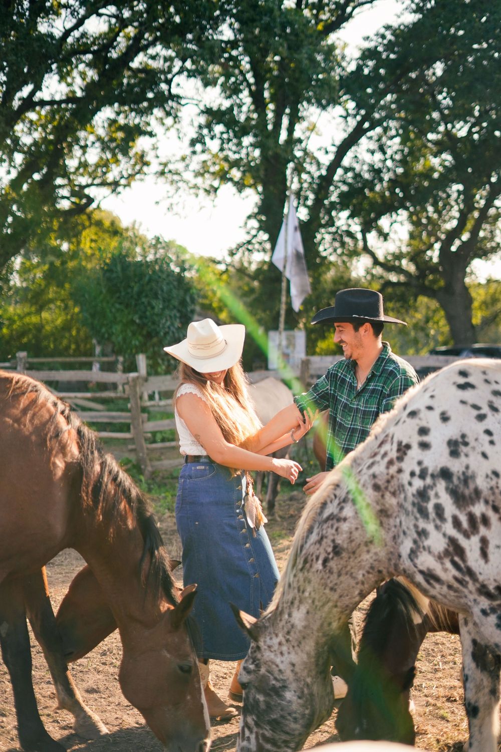 Two people interacting near horses in a ranch corral at sunset.