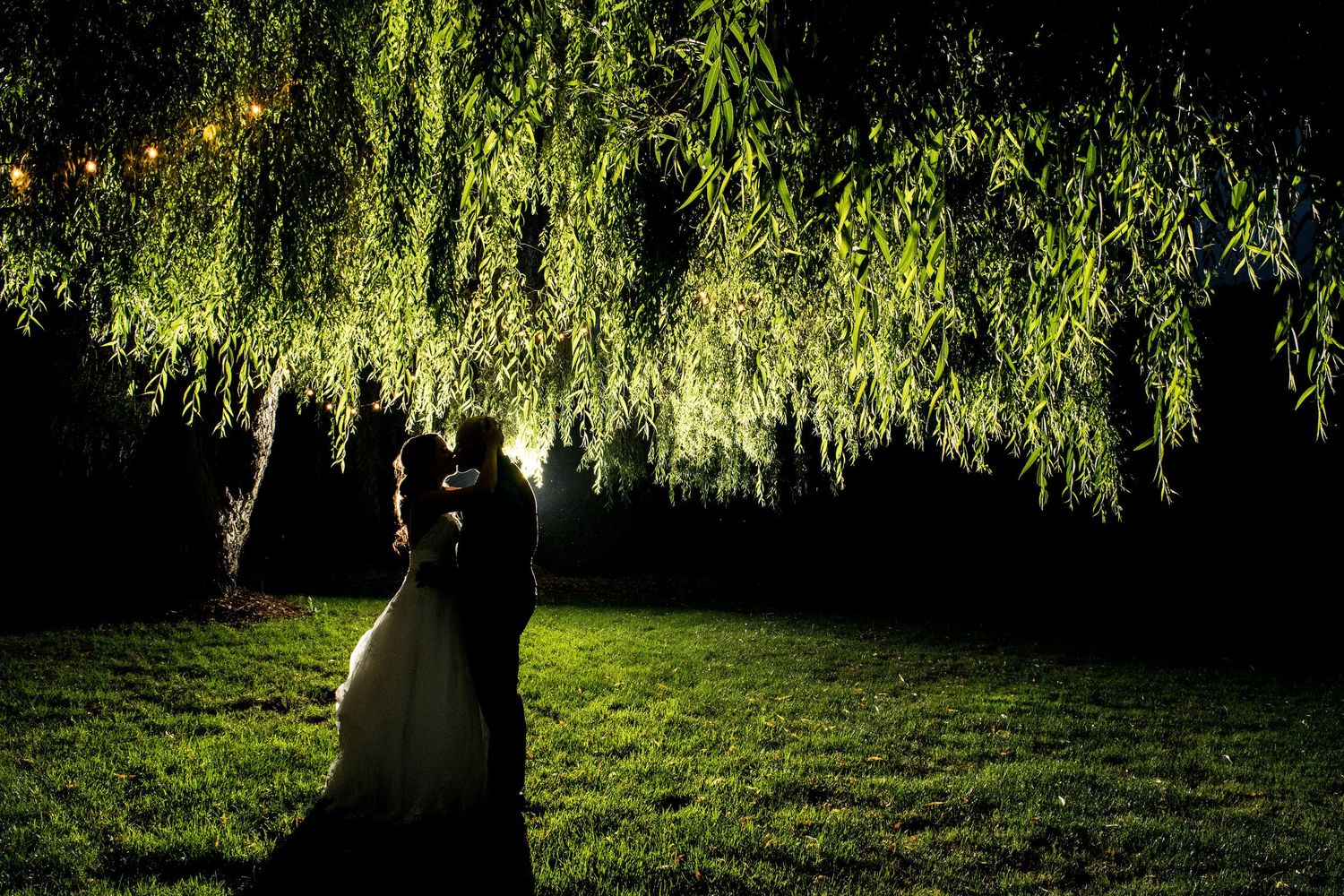 Couple sharing romantic moment under illuminated willow tree at night.