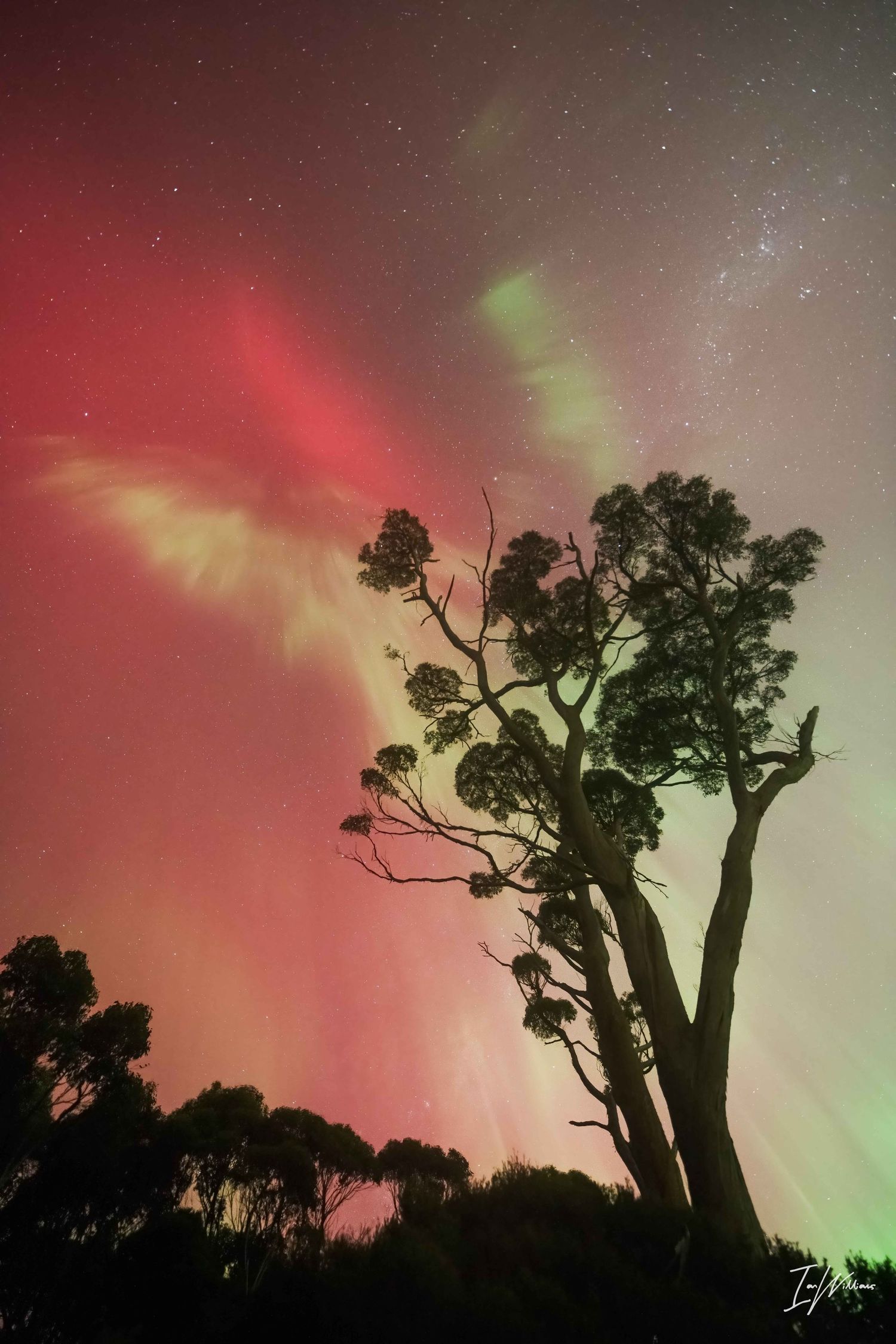 Aurora Australis, Tasmania, 11 May 2024