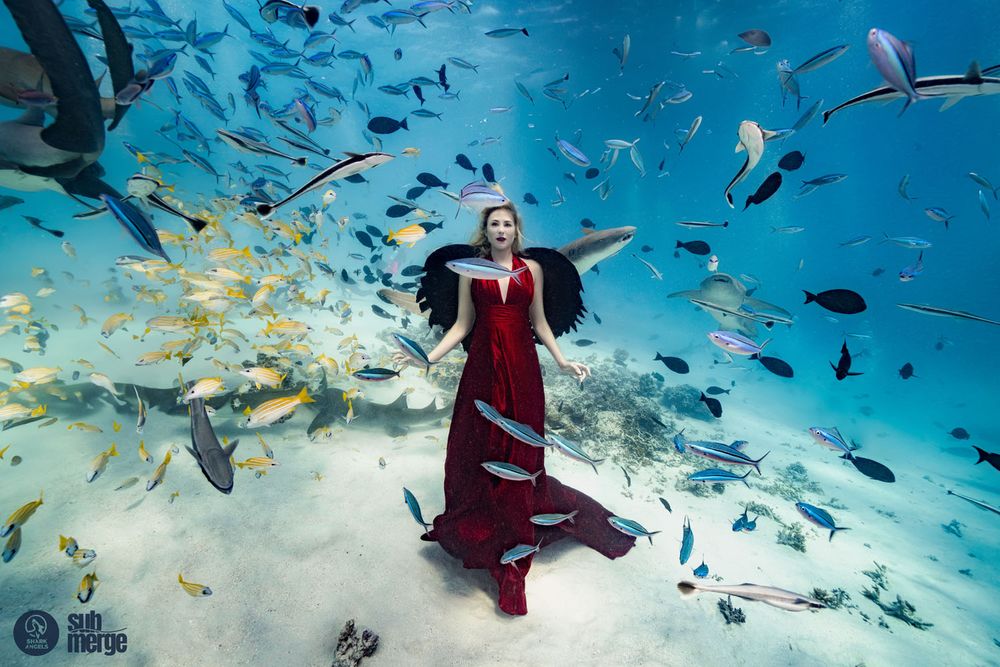 Ethereal underwater fashion shoot with flowing red gown and marine life.