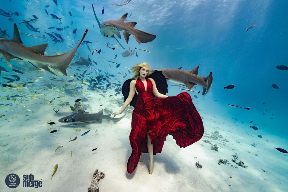 Artistic underwater scene with flowing red dress and swimming sharks.