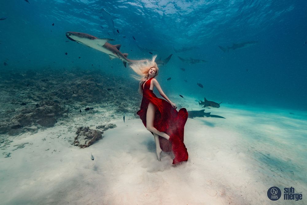 A graceful underwater fashion shot features a red flowing dress with sharks swimming in turquoise waters.