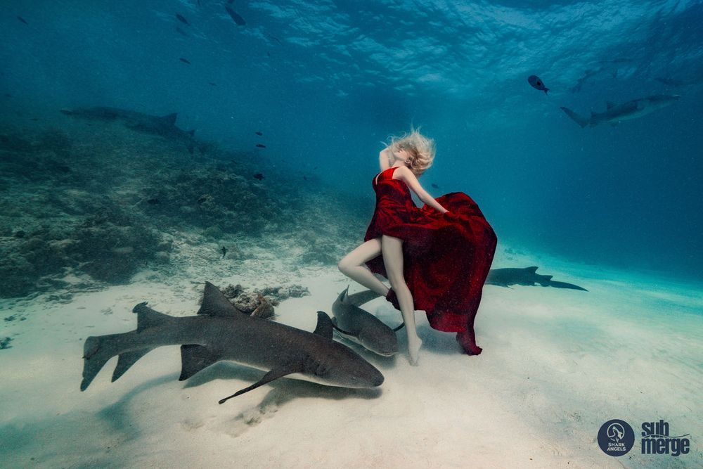 A dramatic underwater scene captures a flowing red dress against white sand with shark shadows visible.