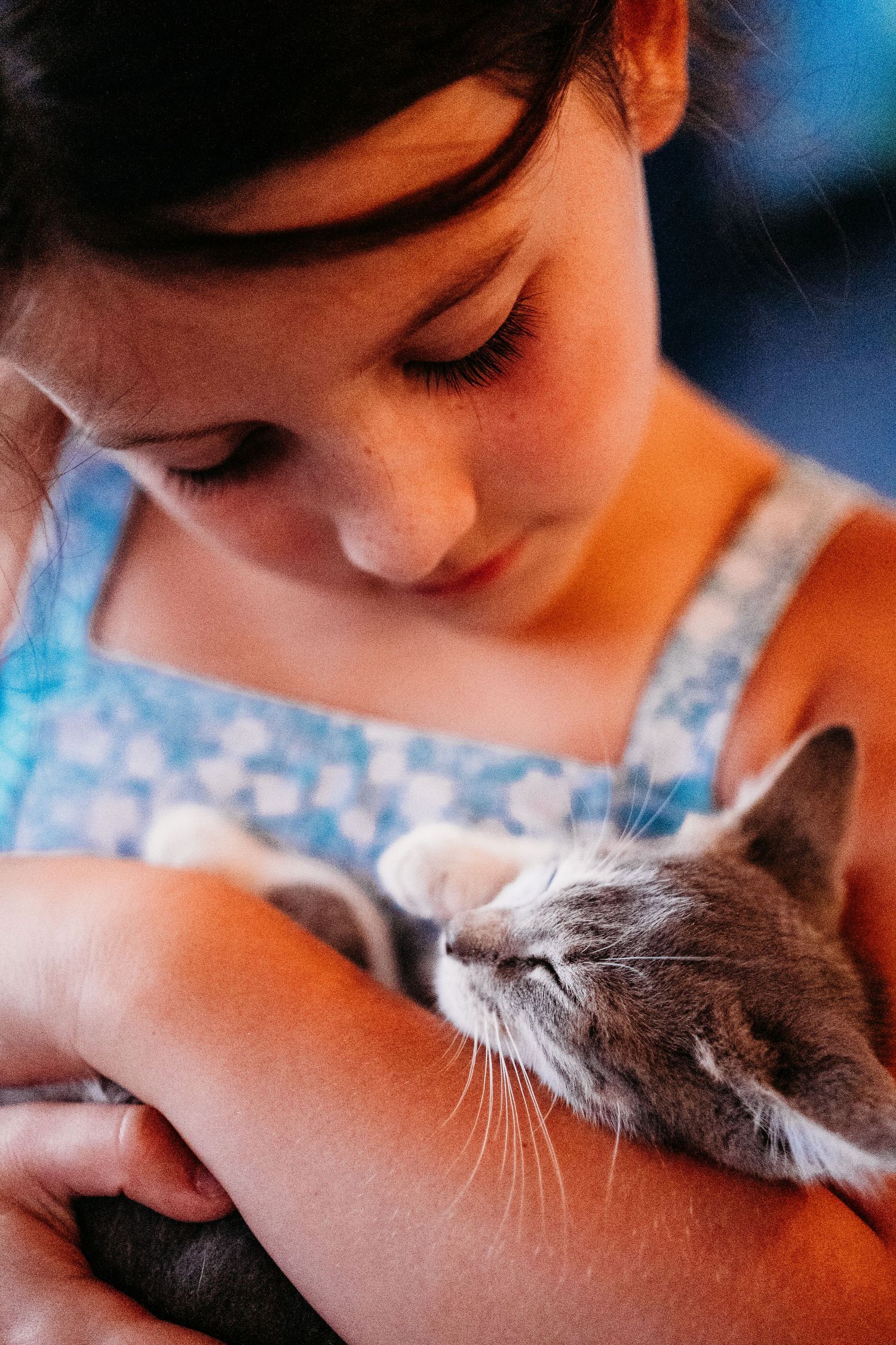 Color image of young girl looking down at a small grey kitten she is holding in her arms like a baby