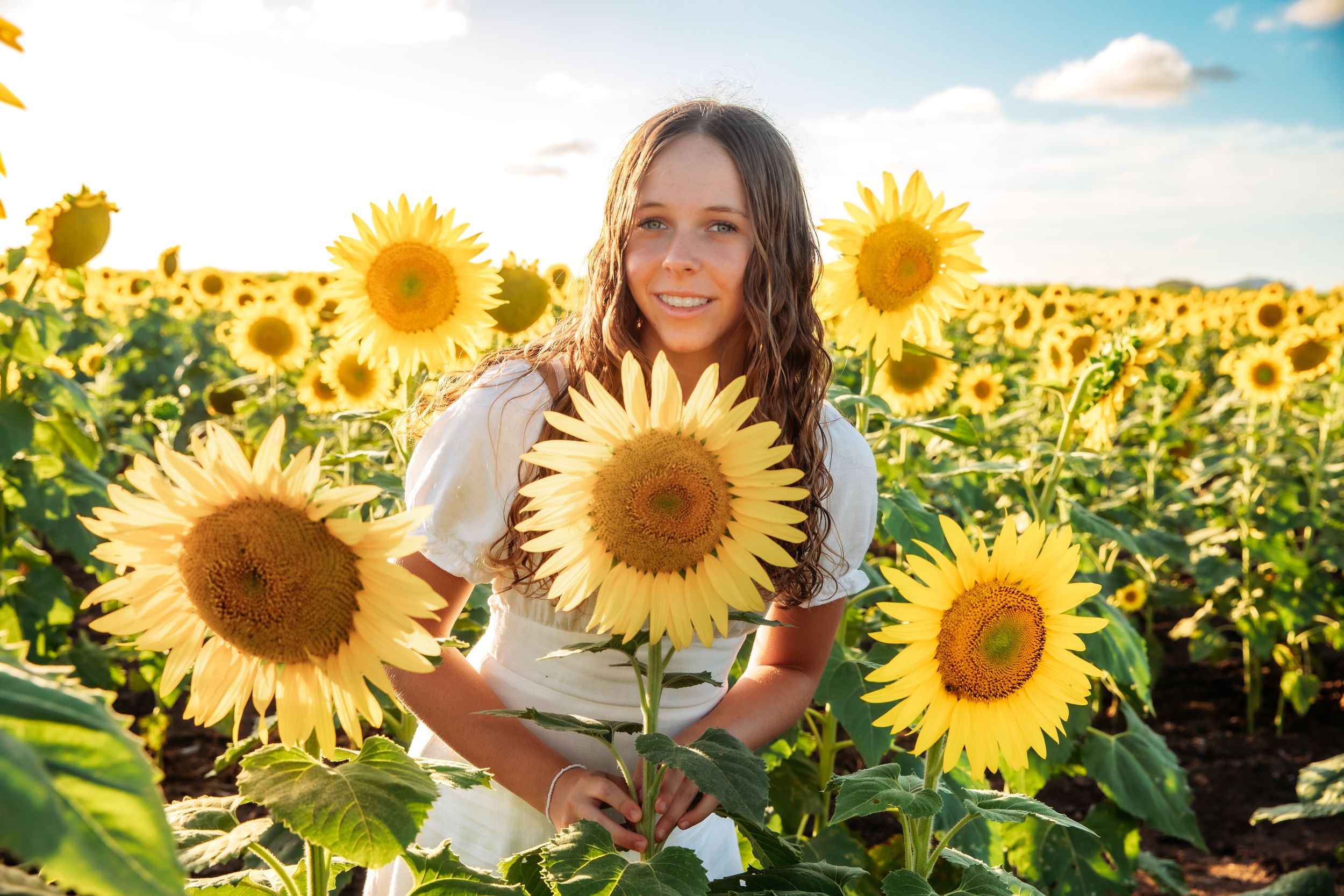A vibrant sunflower field stretches into the distance under a bright blue summer sky with scattered white clouds.