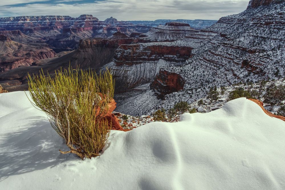 Snow covered Grand Canyon.
