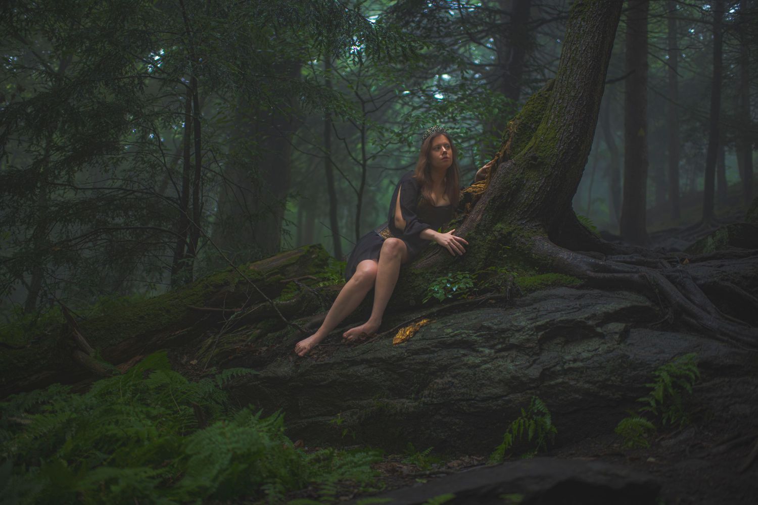 Moody forest photoshoot featuring person sitting on mossy tree trunk in mystical foggy setting.
