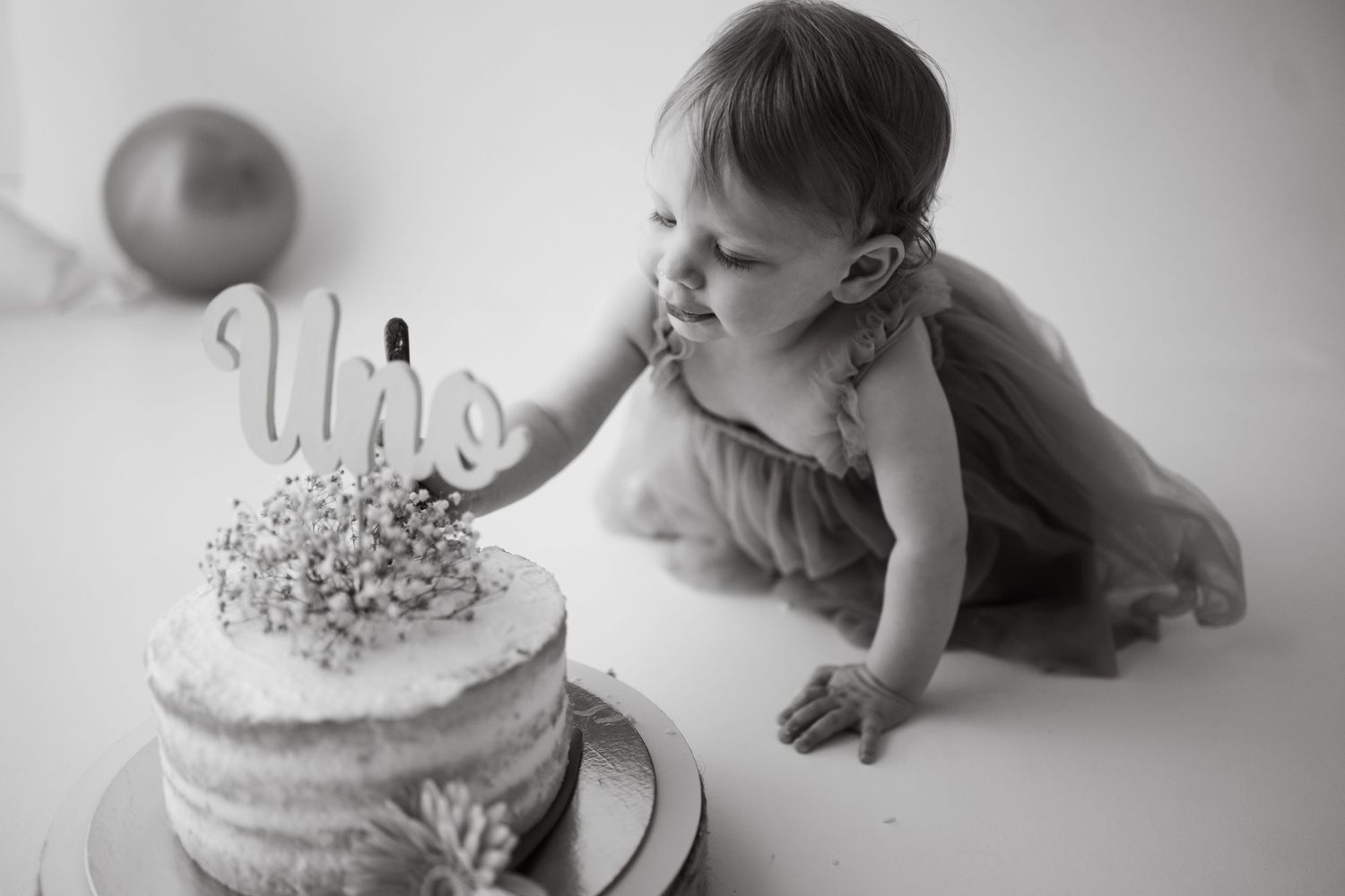 fotografo fotografa famiglia roma gravidanza newborn primi giorni smash cake
