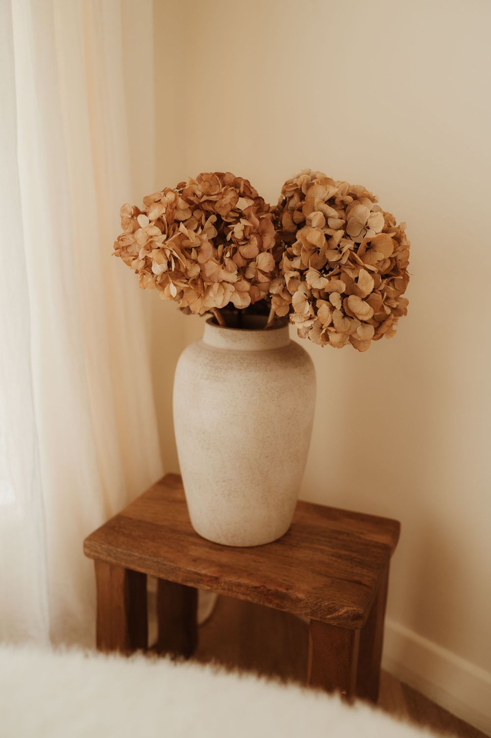 A dried hydrangea flower arrangement in a beige ceramic vase sits atop a rustic wooden table against a cream wall.