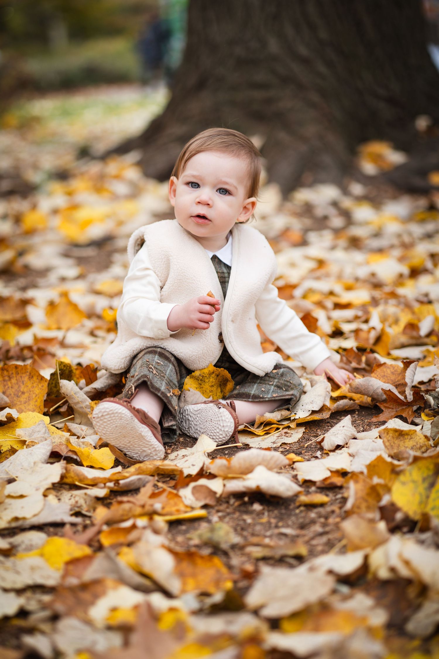 Central Park Fall Mini Sessions