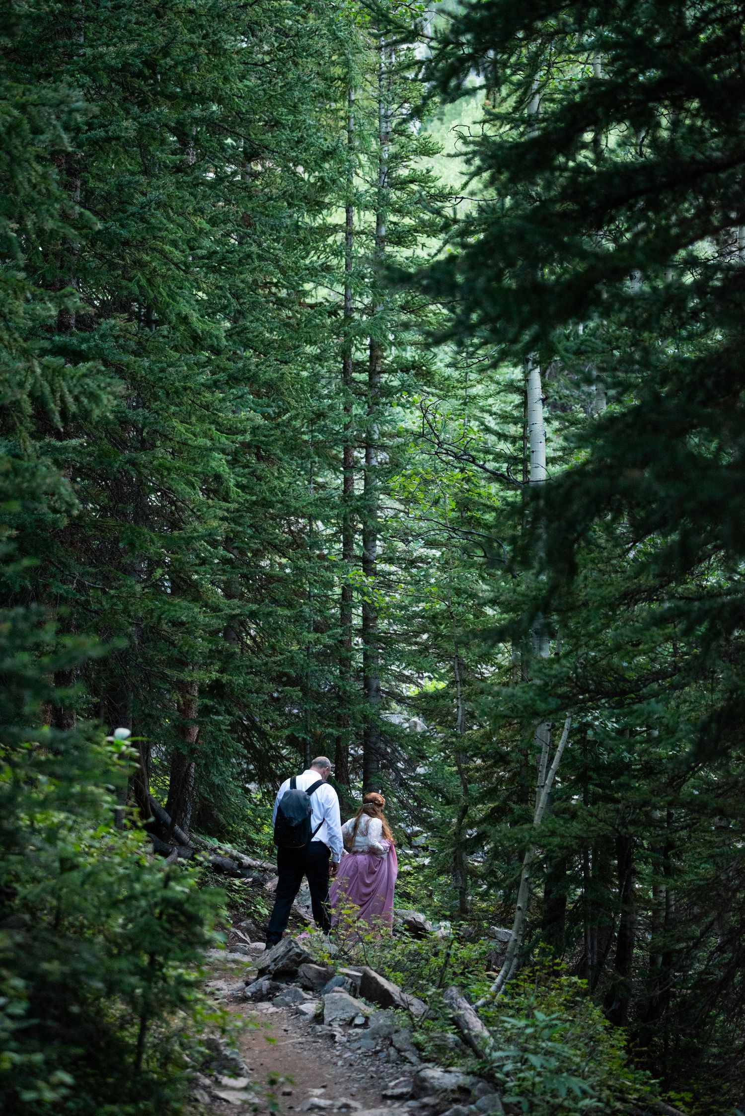 A forest path through dense evergreen trees leads to a mountain vista.