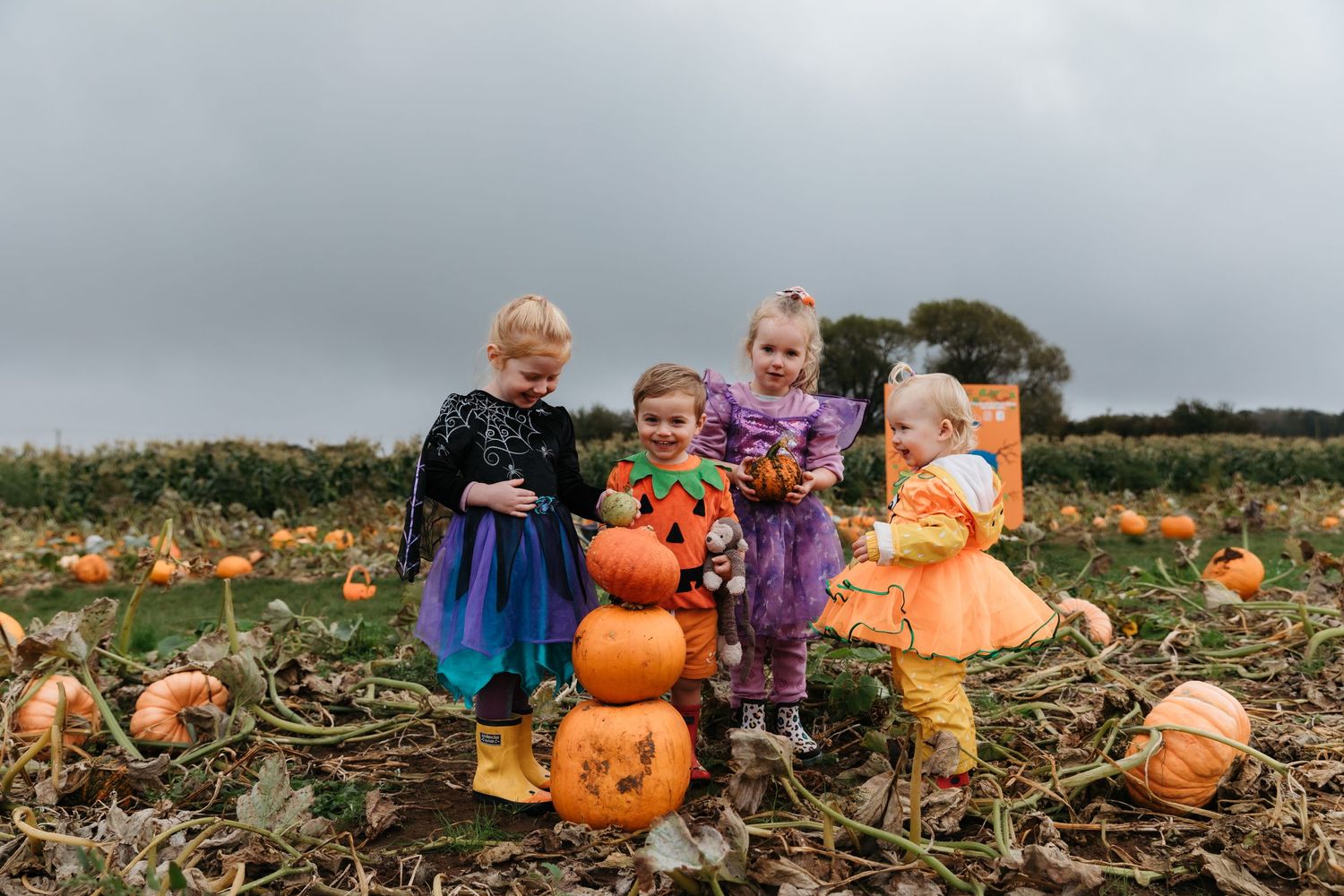 Children in Halloween costumes posing with pumpkins in a muddy pumpkin field. Photographer. Hull. East Yorkshire. Photography