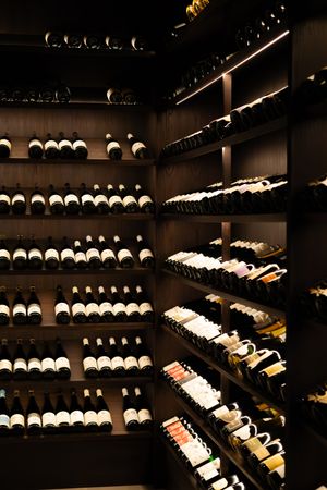 Expansive wine cellar with multiple rows of bottles organized on dark wooden shelving units.