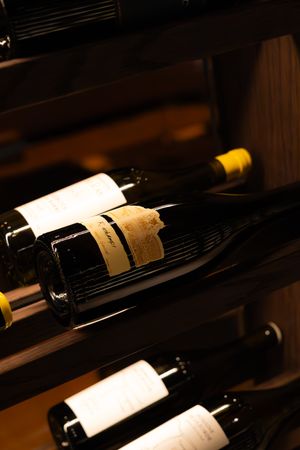 Artistically lit wine bottles with white labels resting in a dark wooden wine rack.