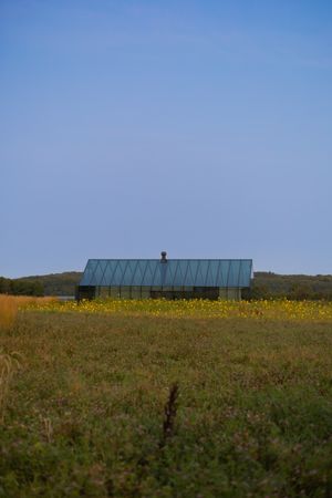 Modern glass building surrounded by yellow wildflowers in a rural setting.