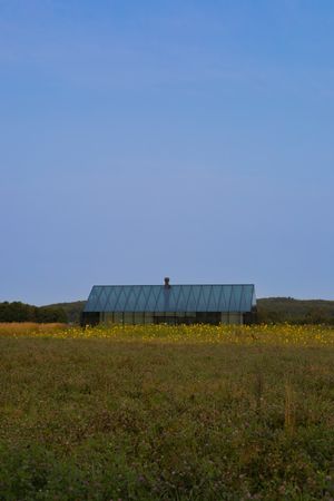 Contemporary glass-roofed structure amid a field of yellow flowers against blue sky.