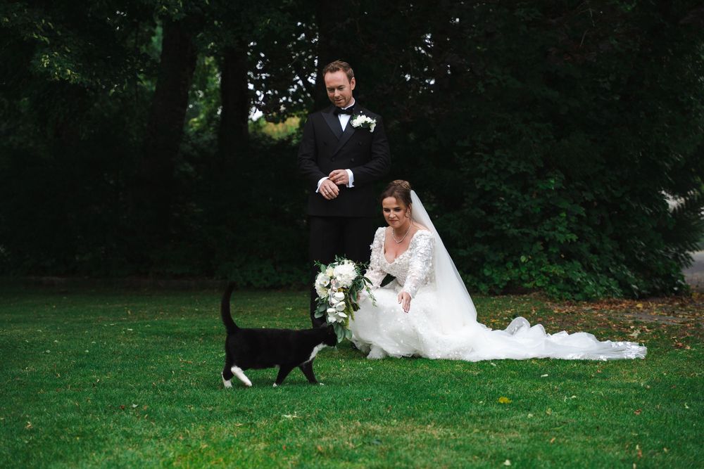 Bride and groom laughing as a black and white cat walks across their wedding photo on a green lawn.