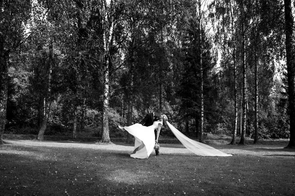 Black and white photo of a bride in a flowing wedding dress and veil in a birch tree forest park.