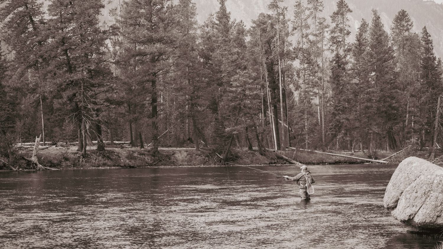 Flyfishing Yellowstone National Park