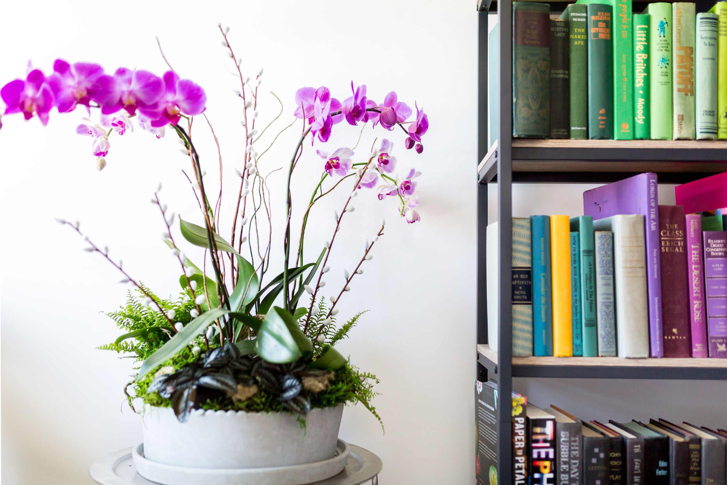 Vibrant purple orchids arranged in white planter next to colorful bookshelf.
Commercial Photography
HGTV