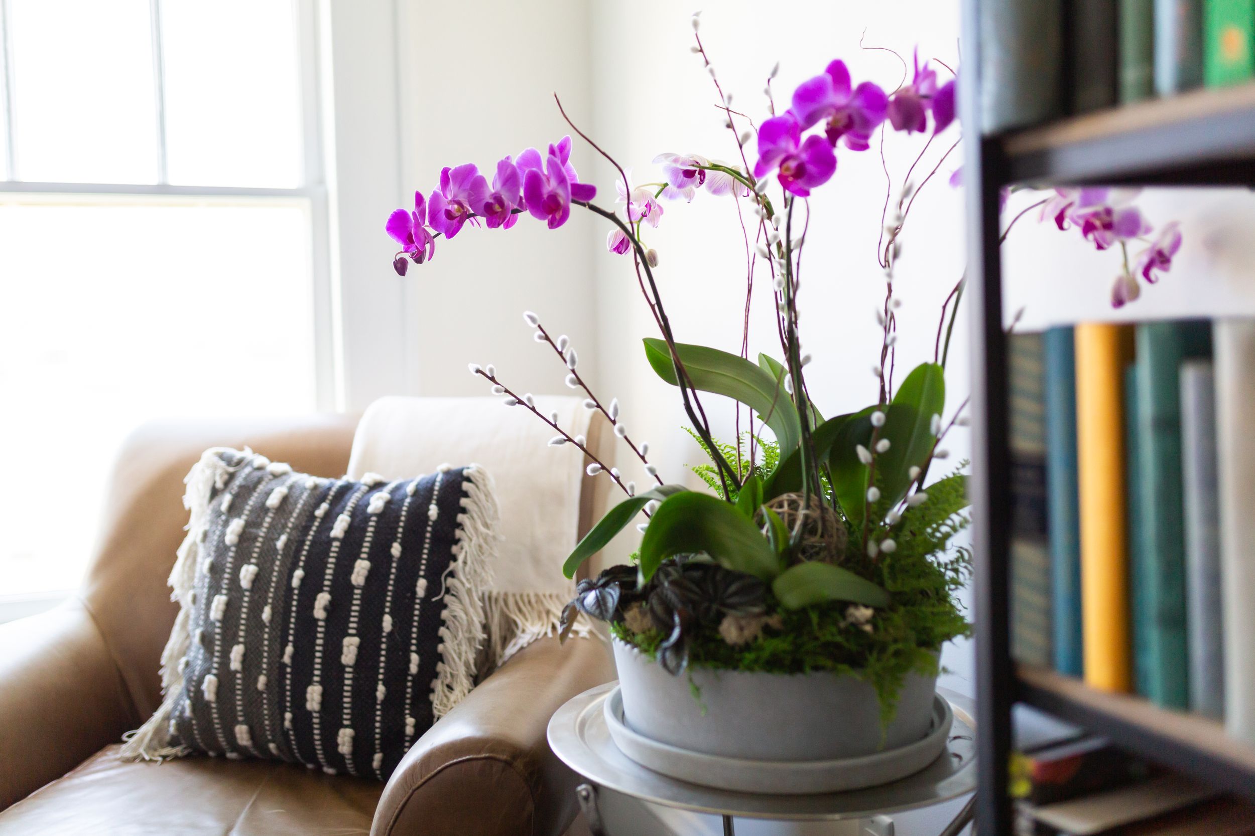 Potted purple orchid arrangement on side table near bookshelf with natural window light.
Commercial Photography
HGTV