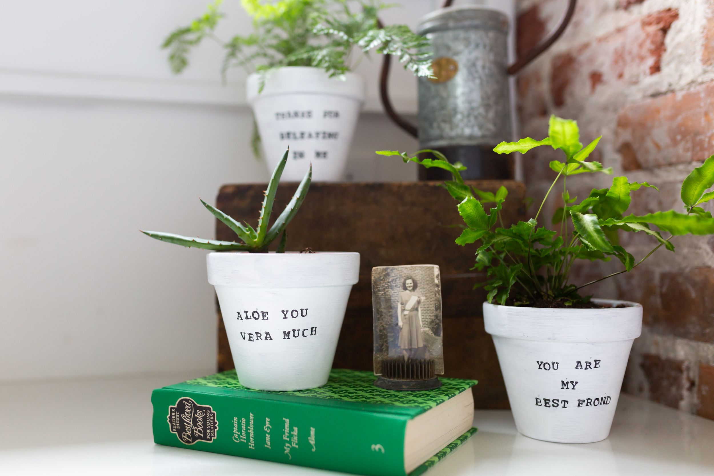 Small potted plants with handwritten labels arranged on vintage books near exposed brick wall.
Commercial Photography
HGTV