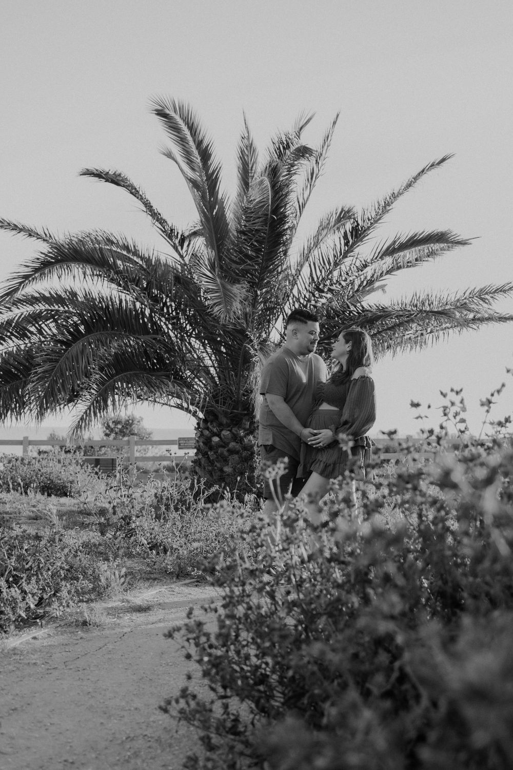 Romantic couple standing close together under a palm tree in black and white.