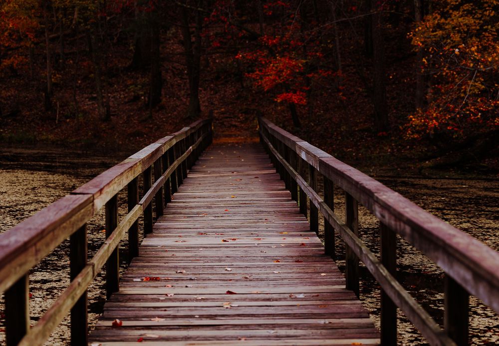 A rustic wooden footbridge leads through a dense forest of vivid red autumn foliage.