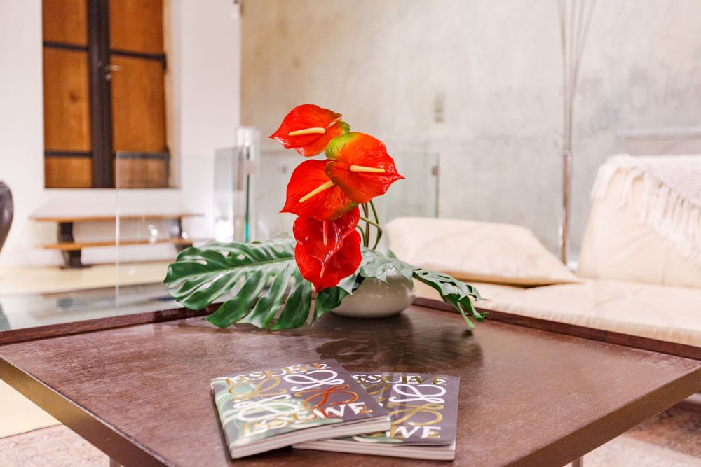 Close-up of red anthurium flower arrangement and magazines on a glass coffee table in a modern living room.
