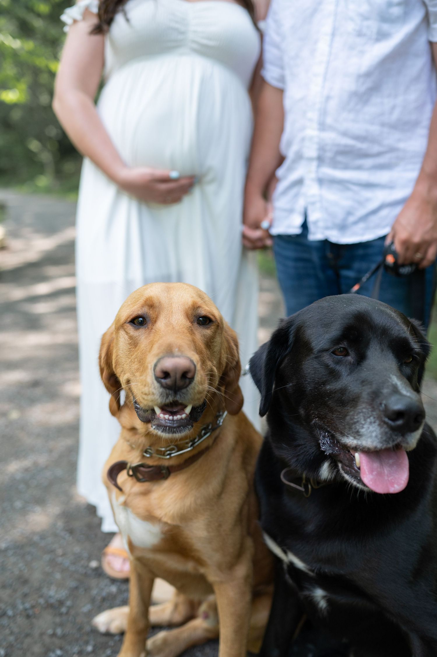 Photo by Lacey with Lacey Grace Photography, Maternity