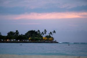 Tropical island sunset with palm trees and beach houses along the shoreline.