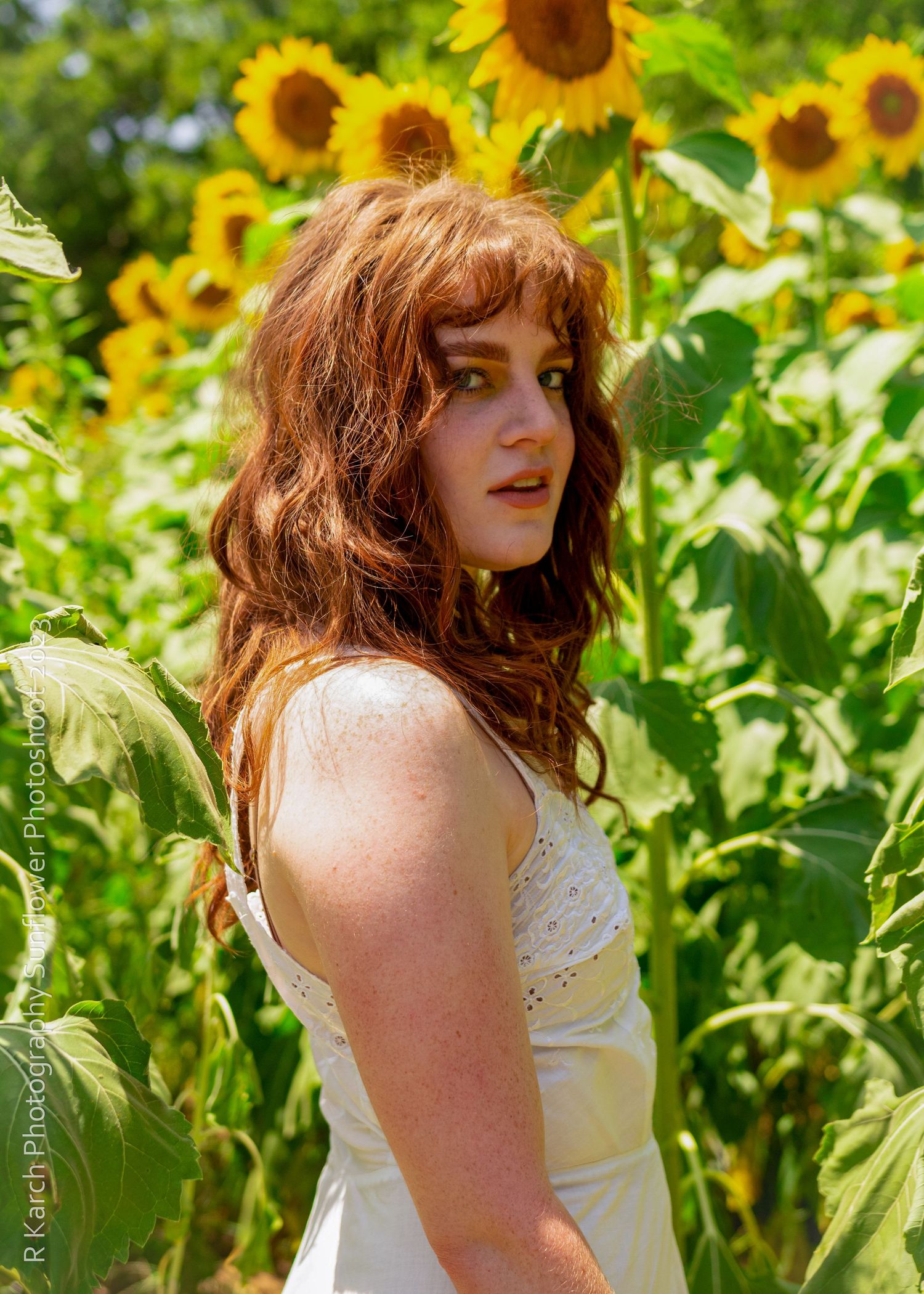 Portrait of someone in a white dress among blooming sunflowers on a sunny day.