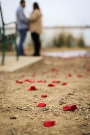 Red rose petals scattered along a sandy path create a romantic trail with blurred figures in the background.