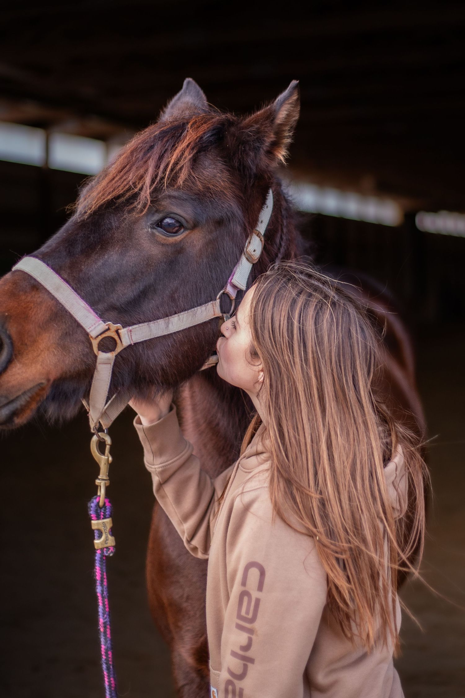 Woman with horse
Girl petting horse
Horse and handler
Indoor arena photography
Horse headshot
Horse portrait
Bonding with horse
Horse Photos