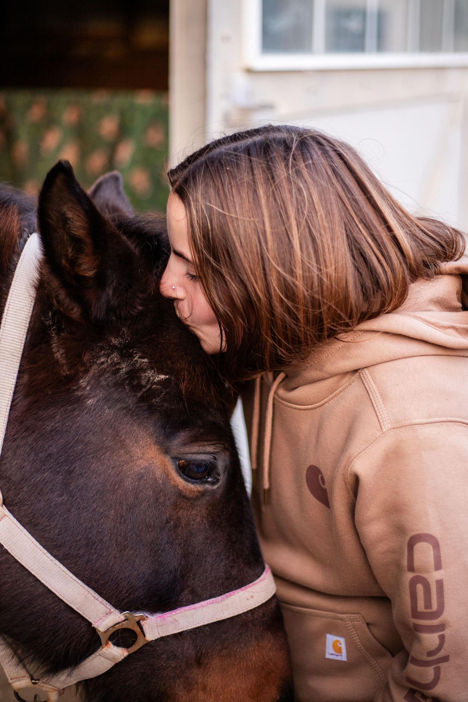 Farm Girl Photography
Horse photography
Animal photography
Pet photography
Barn photography
Stable photography