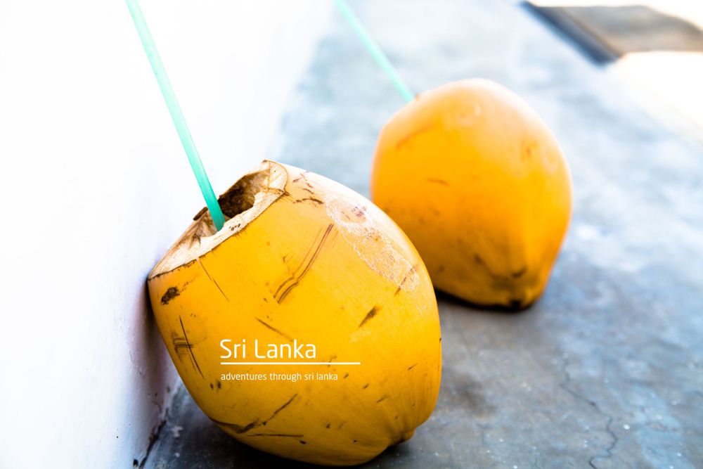Metapixels Photography
Copyright Image 2017
Sri Lanka