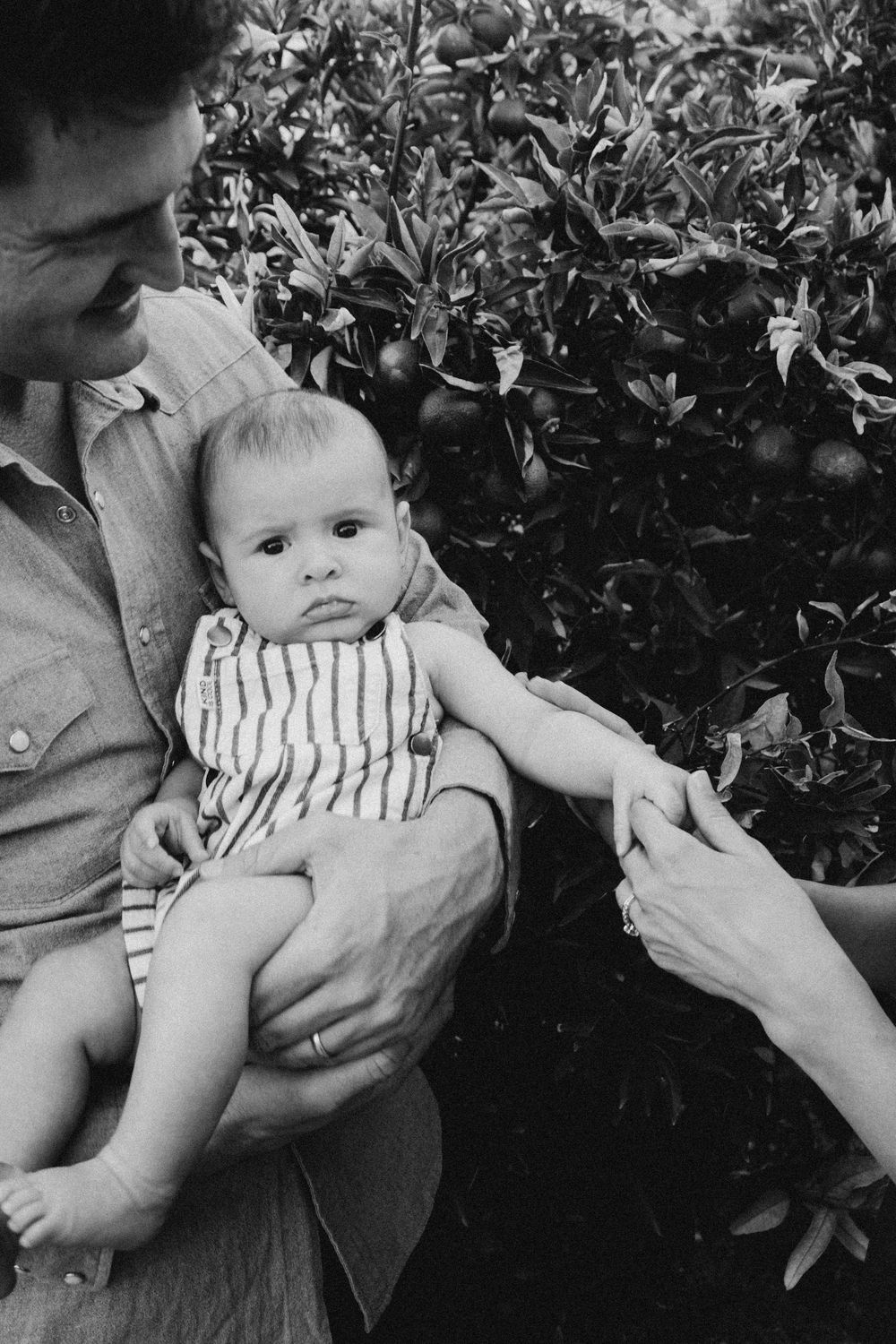 Baby wearing striped outfit being held against leafy background in black and white.