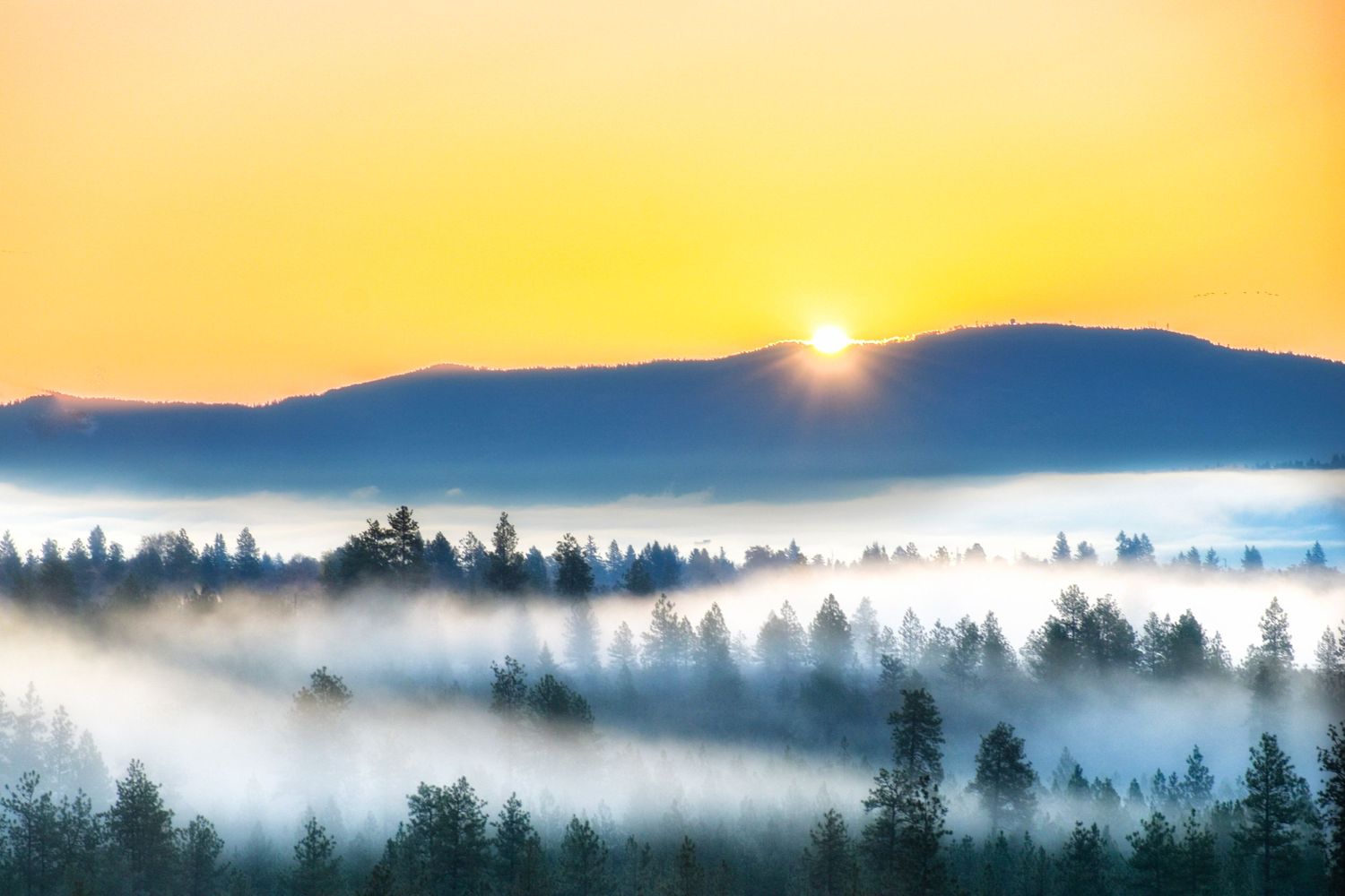 sunrise in spokane washington Taken by Jessica Rae Photography.