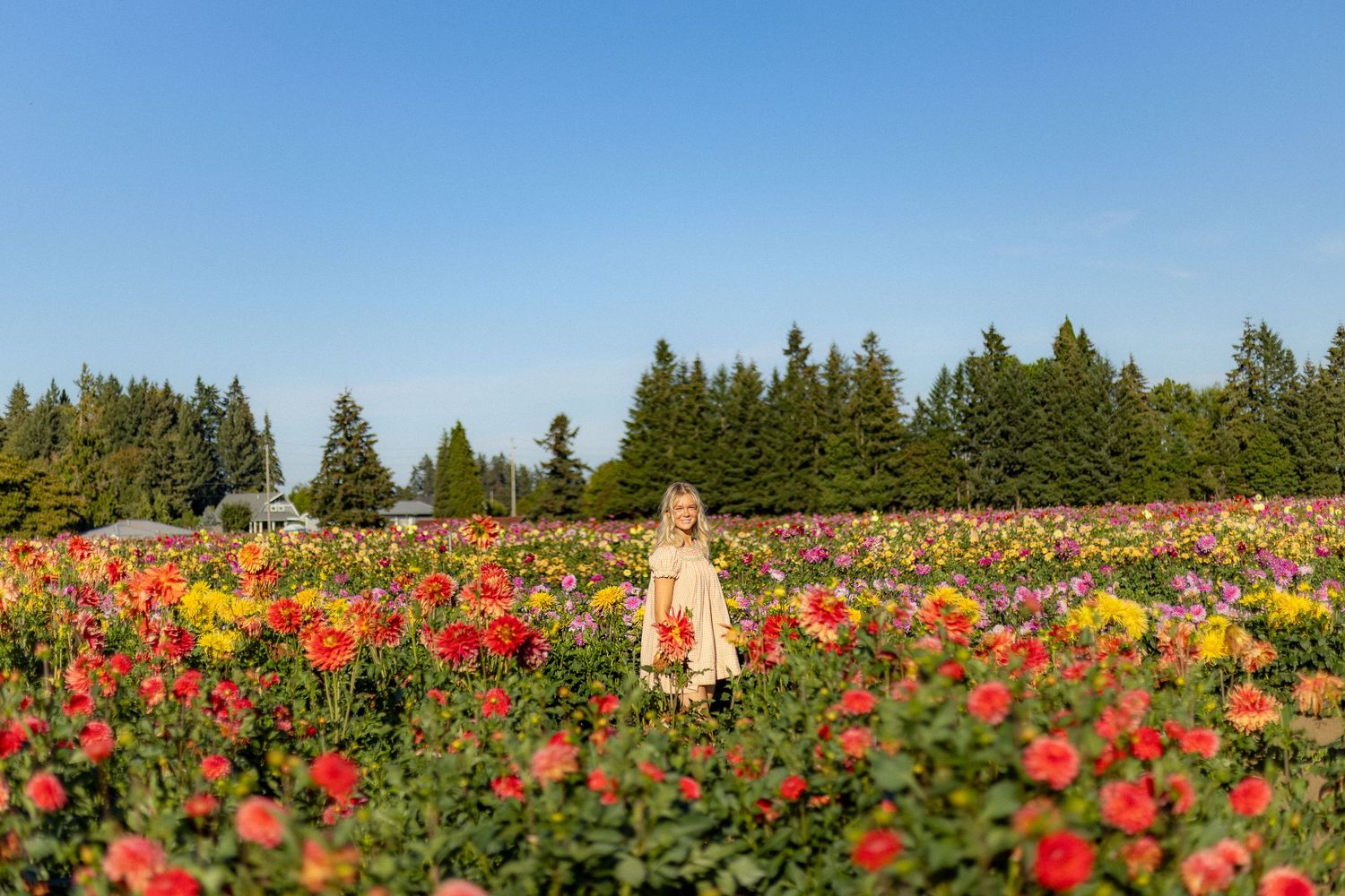TCole Photography- Portrait Photographer, Portland Oregon